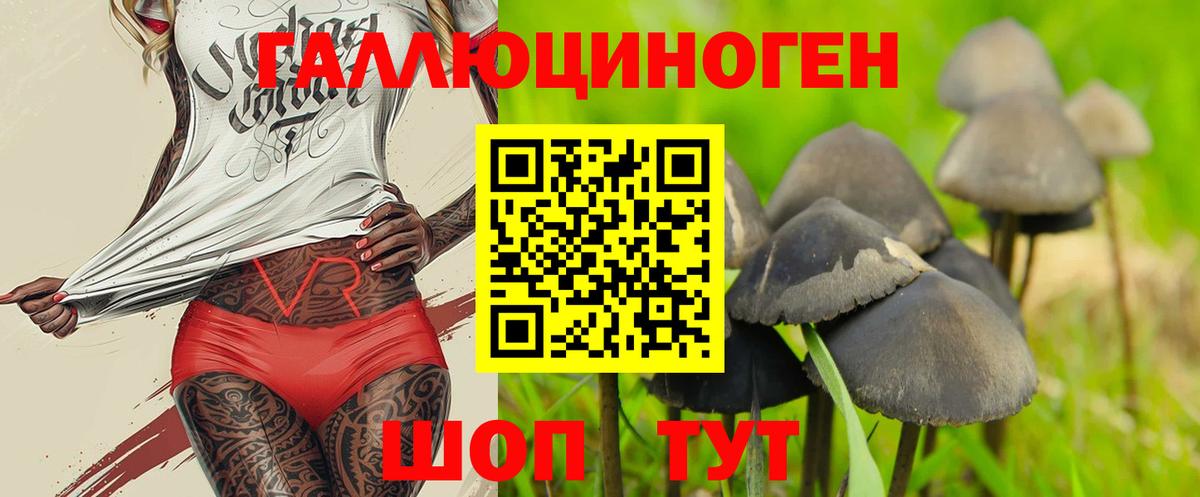 Псилоцибиновые грибы ЛСД Ставрополь